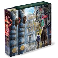 Harry Potter : le grand livre pop-up du chemin de traverse