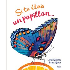 Si tu étais un papillon...