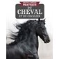 Encyclopédie pratique du cheval & du cavalier