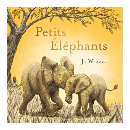 Petits éléphants : Couverture rigide