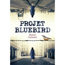 Projet Bluebird : 12-14