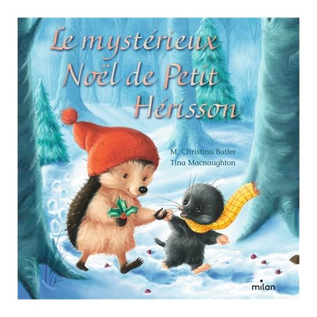 Le mystérieux Noël de Petit Hérisson : Livre cartonné