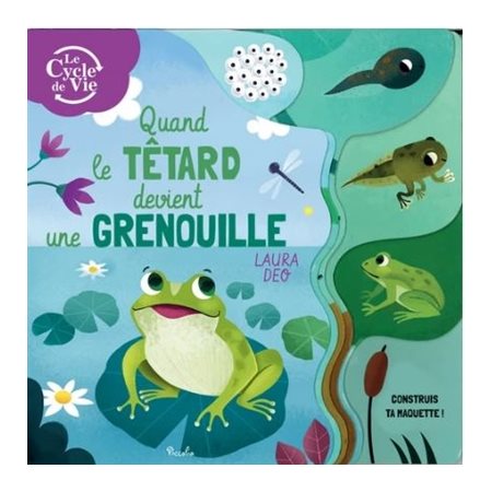 Quand le têtard devient grenouille : Le cycle de la vie : Livre cartonné