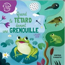 Quand le têtard devient grenouille : Le cycle de la vie : Livre cartonné