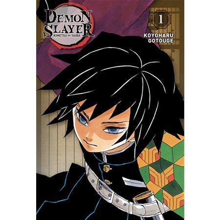 Demon slayer : Kimetsu no yaiba : Édition pilier T.01 : Manga : ADO