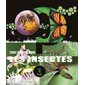 Les insectes : Tout comprendre : Nouvelle édition