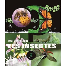 Les insectes : Tout comprendre : Nouvelle édition