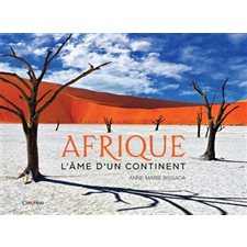 Afrique : L'âme d'un continent