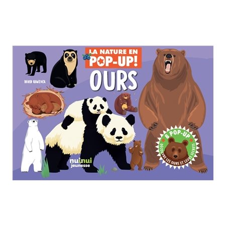 Ours : La nature en pop-up ! : Livre cartonné