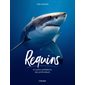 Requins et autres prédateurs des profondeurs