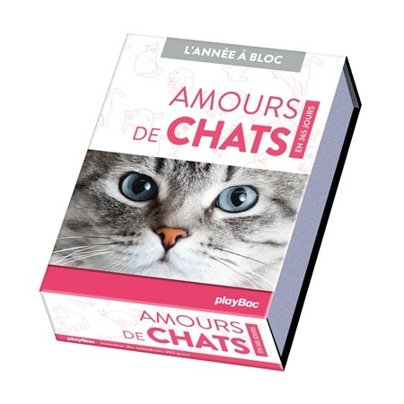 Amours de chats : En 365 jours : L'année à bloc