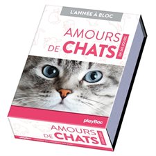 Amours de chats : En 365 jours : L'année à bloc