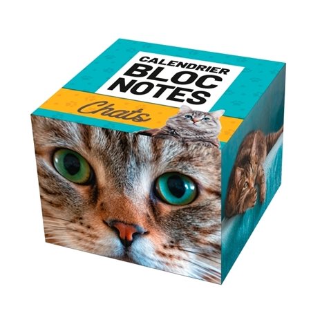 Calendrier Bloc notes : Chats