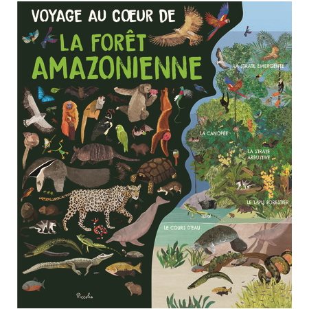 Voyage au coeur de la forêt amazonienne : Voyage au coeur ...