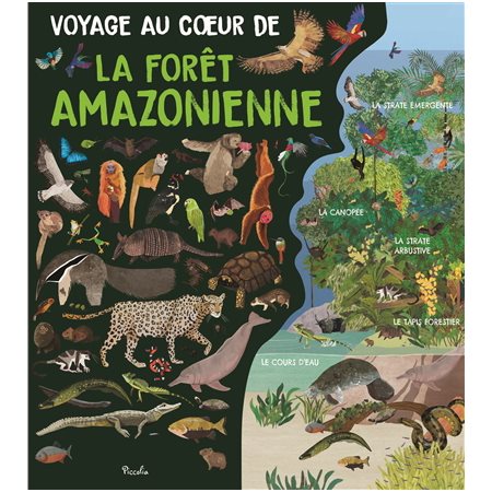 Voyage au coeur de la forêt amazonienne : Voyage au coeur ...