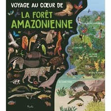 Voyage au coeur de la forêt amazonienne : Voyage au coeur ...
