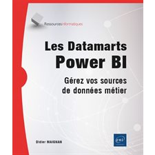 Les datamarts Power BI : Gérez vos sources de données métier : Ressources informatiques