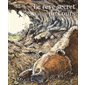 Le rêve secret de l'ours : Couverture rigide