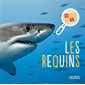 Les requins : Zoom !