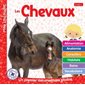 Les chevaux : Un premier documentaire photos : Mon Louloudoc