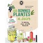 Ces bonnes plantes à boire : en infusion, sirop, apéritif, limonade