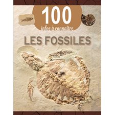Les fossiles : 100 infos à connaître : Édition 2024