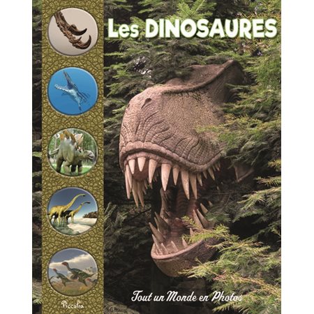 Les dinosaures : Tout un monde en photos