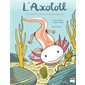 L'axolotl, les secrets d'une métamorphose