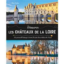 Découvrir les châteaux de la Loire : Une promenade historique à travers les plus beaux châteaux de France