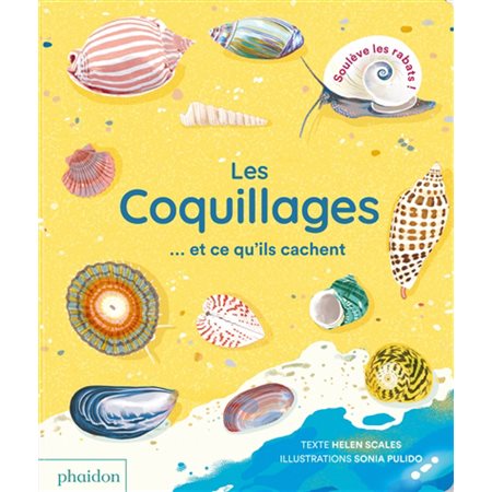 Les coquillages ... et ce qu'ils cachent : Livre cartonné