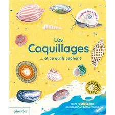 Les coquillages ... et ce qu'ils cachent : Livre cartonné