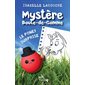 Le poney surprise : Mystère Boule-de-Gomme : 6-8