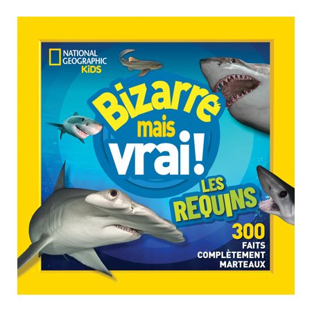 Bizarre mais vrai ! : Les requins