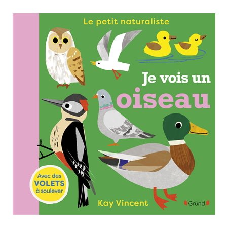 Le petit naturaliste : Je vois un oiseau