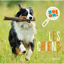 Les chiens, Zoom !