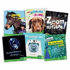 Dans les faits : Niveau 2 : 6 livres