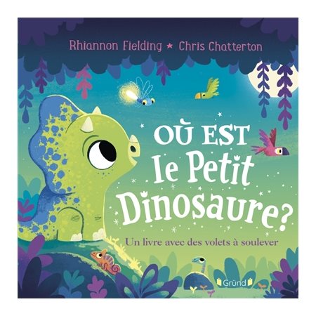 Où est le petit dinosaure ? : Un livre avec des volets à soulever : Livre cartonné