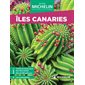Iles Canaries (Michelin) : Le guide vert. Voyages & cultures : Édition 2025