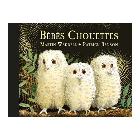 Bébés chouettes : Petite bibliothèque de l'Ecole des loisirs : Couverture rigide