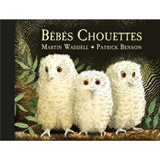 Bébés chouettes : Petite bibliothèque de l'Ecole des loisirs : Couverture rigide