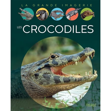 Les crocodiles : La grande imagerie : 1ère édition