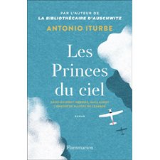 Les princes du ciel, Saint-Exupéry, Mermoz, Guillaumet : L'épopée de pilotes de légende