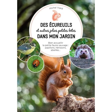 Des écureuils et autres jolies petites bêtes dans mon jardin : Bien accueillir la petite faune sauvage : Aapillons, hérissons, abeilles ...