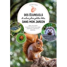 Des écureuils et autres jolies petites bêtes dans mon jardin : Bien accueillir la petite faune sauvage : Aapillons, hérissons, abeilles ...