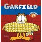 Garfield Poids lourd T.17 : Nouvelle édition 2024 : Bande dessinée