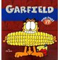 Garfield Poids lourd T.17 : Nouvelle édition 2024 : Bande dessinée