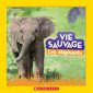 Les éléphants : Vie sauvage : National Geographic kids