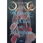 L'étoile et l'ombre T.01 : Un royaume d'étoiles et d'ombres : FAN : PAV