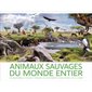 Animaux sauvages du monde entier : Un incroyable voyage à travers les différents écosystèmes de la Terre