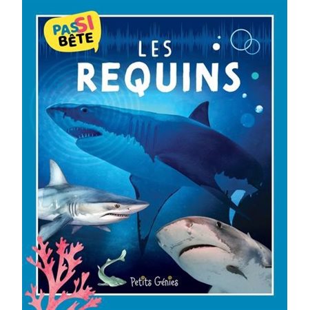 Les requins : Pas si bête